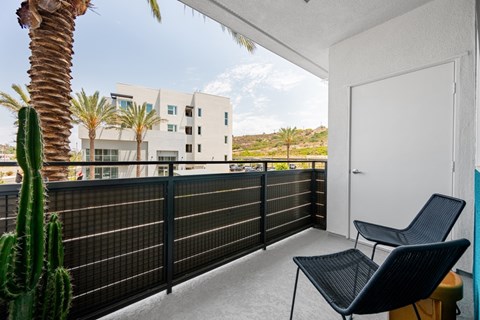 A balcony with two chairs and a cactus.