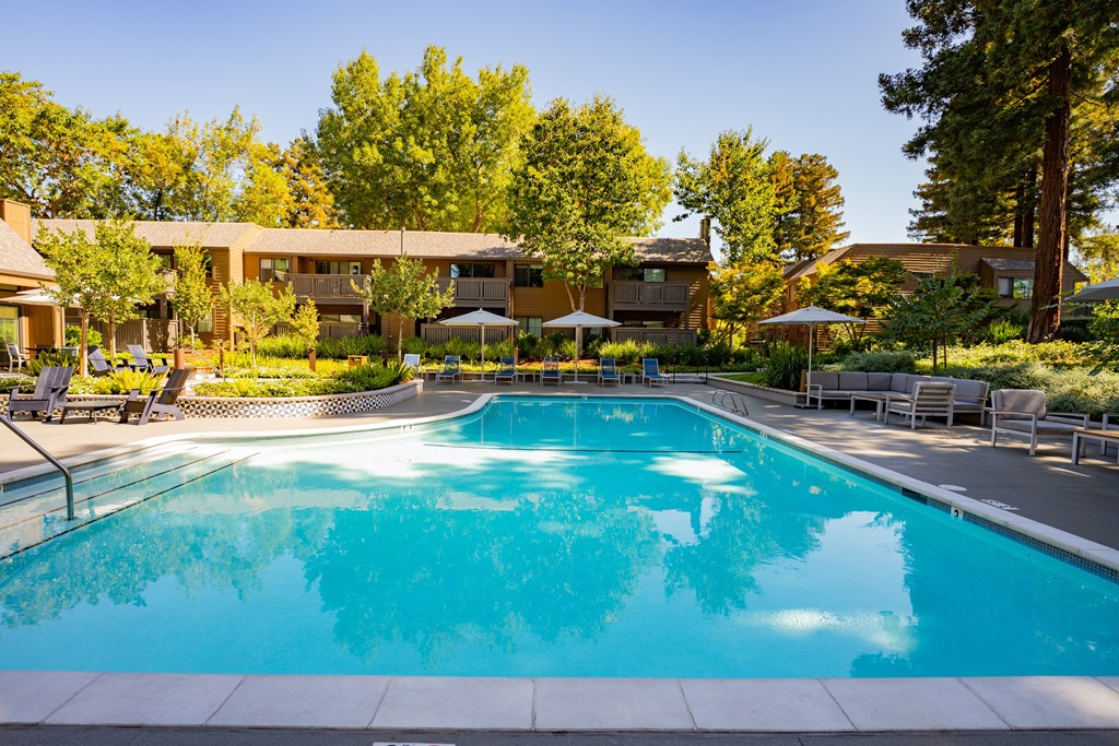 A large swimming pool in the middle of a grassy area with trees and a building in the background.