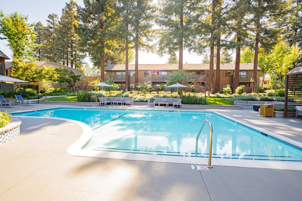 A swimming pool surrounded by trees and a building in the background.
