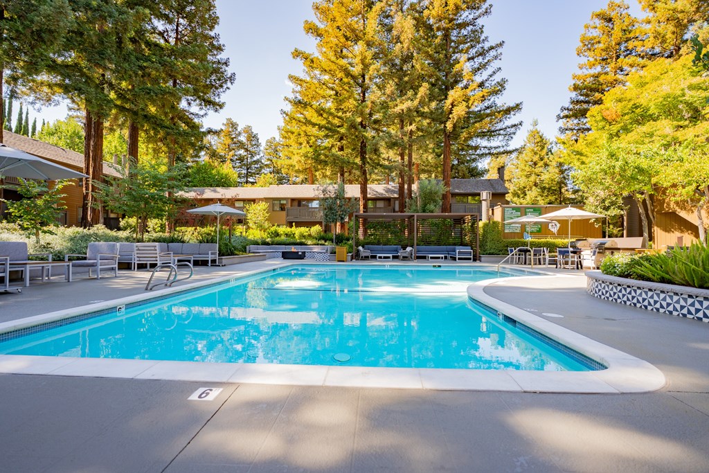 A large swimming pool surrounded by trees and lounge chairs.