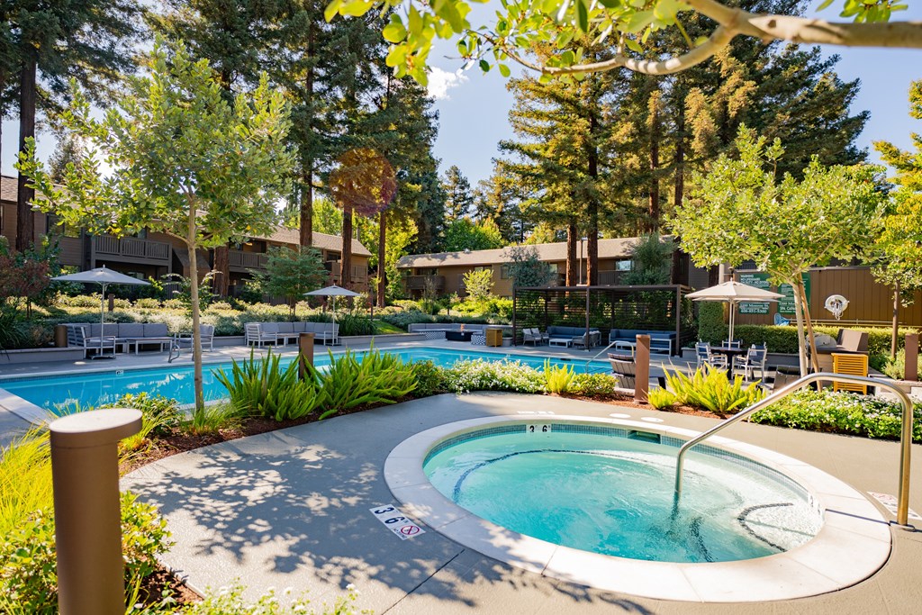 A hot tub sits in the middle of a pool surrounded by trees.