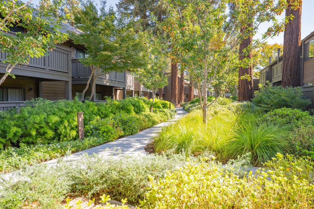 A pathway in a garden with a building in the background.
