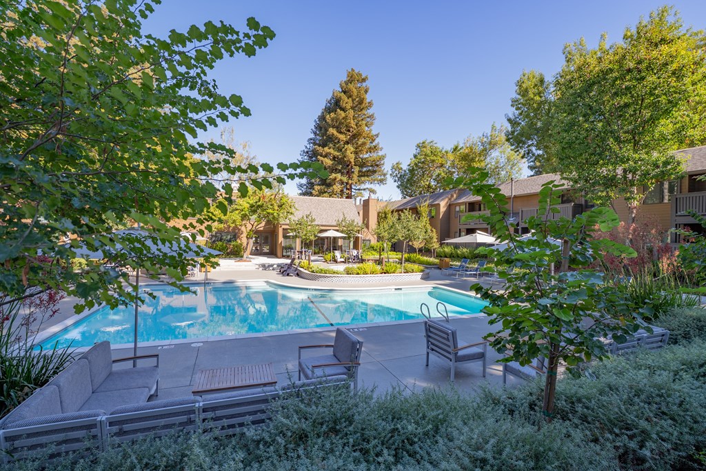 A pool surrounded by trees and chairs.