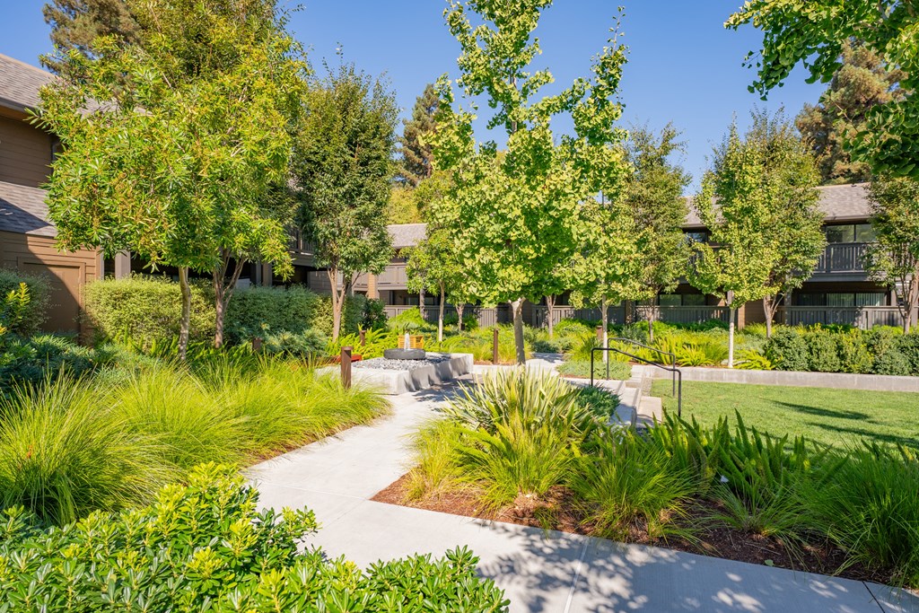 A pathway in a park with trees and grass on either side.