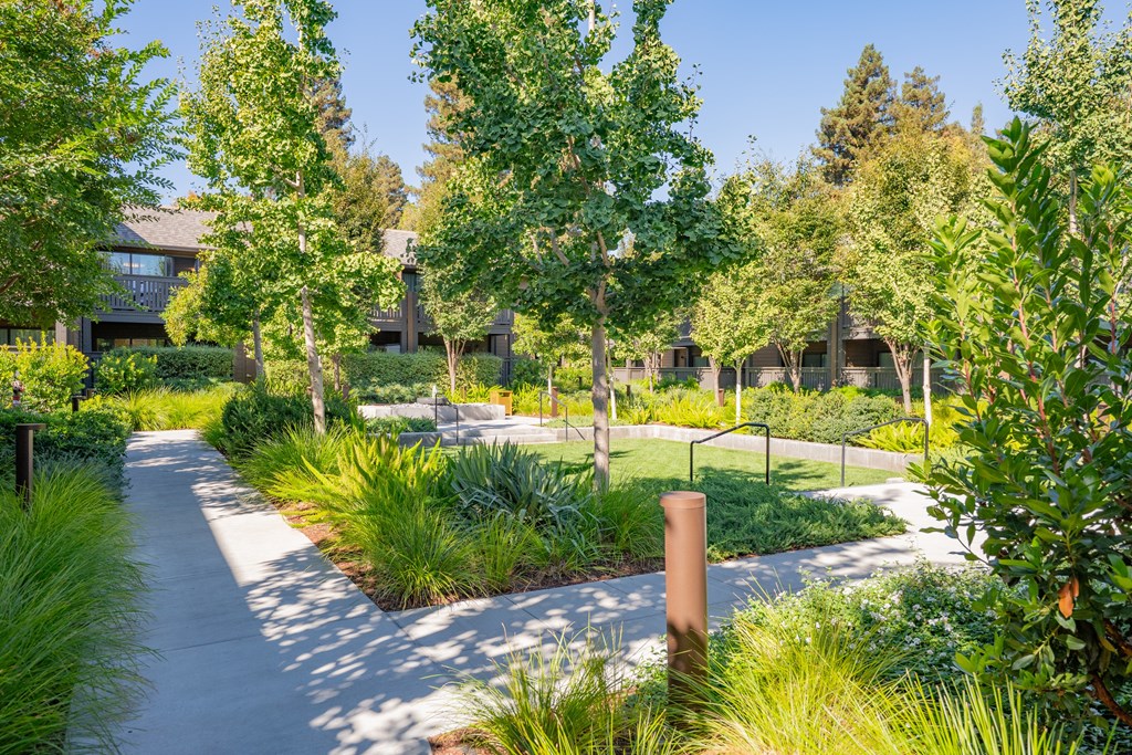 A walkway in a park with trees and grass on either side.