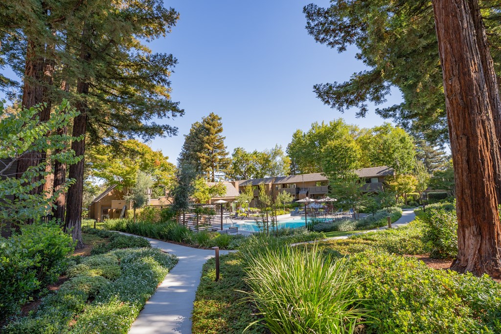 A pathway in a park with trees and a swimming pool.