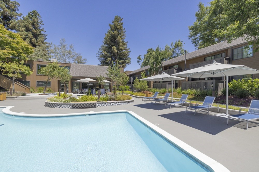 A swimming pool in a apartment complex with sun loungers and trees.