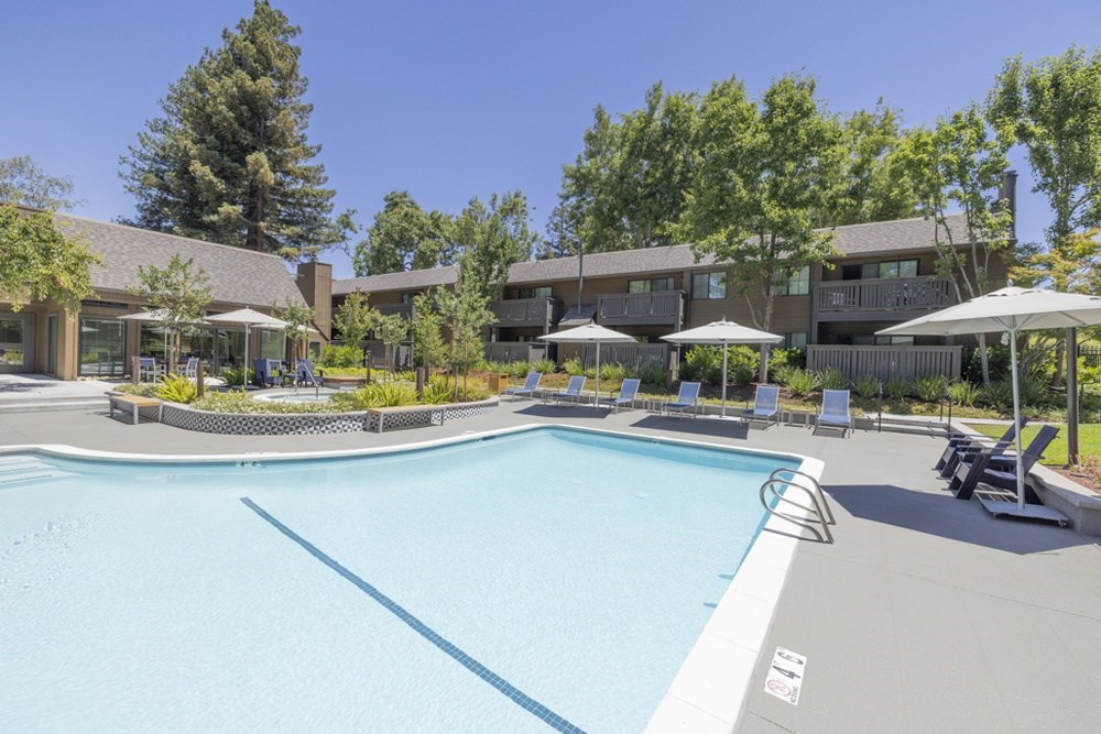 A swimming pool in a apartment complex with sun loungers and trees.