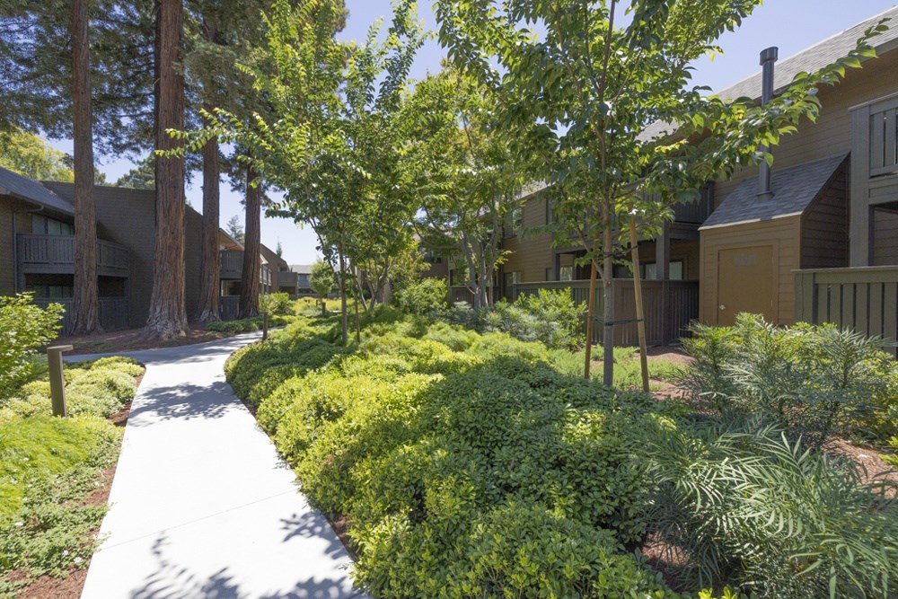 A pathway in a garden leads to a building.