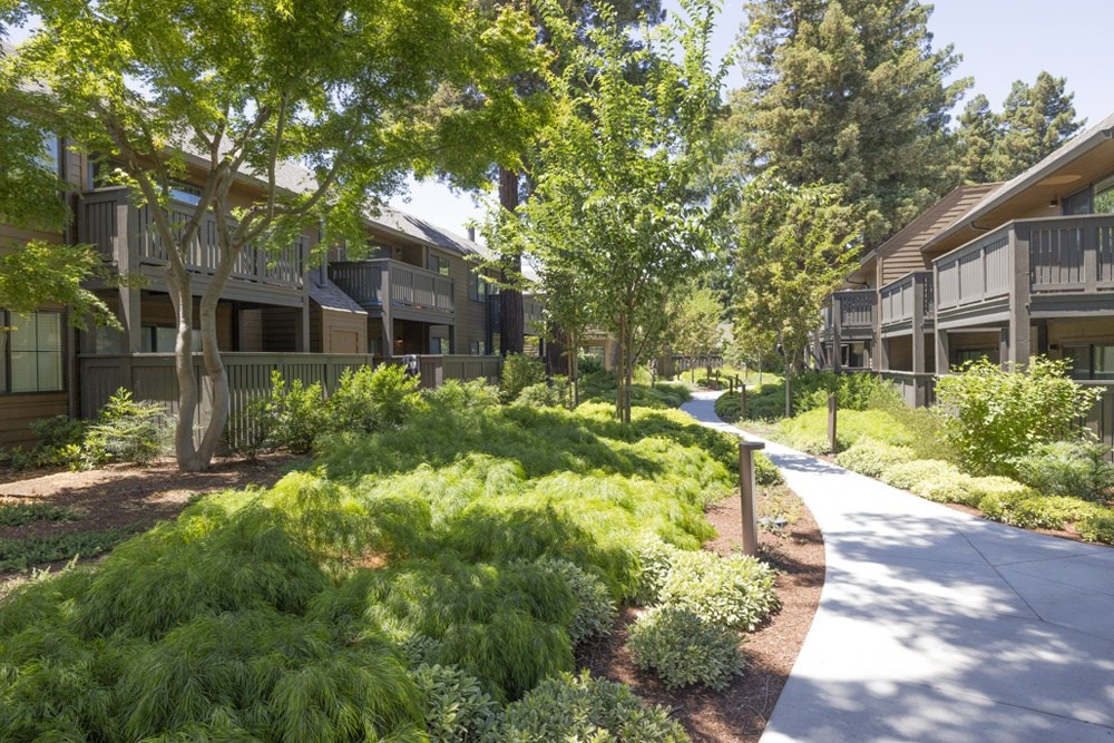 A pathway in a garden leads to a building.