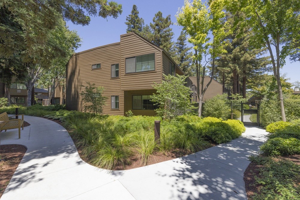 A pathway in a garden leads to a building.