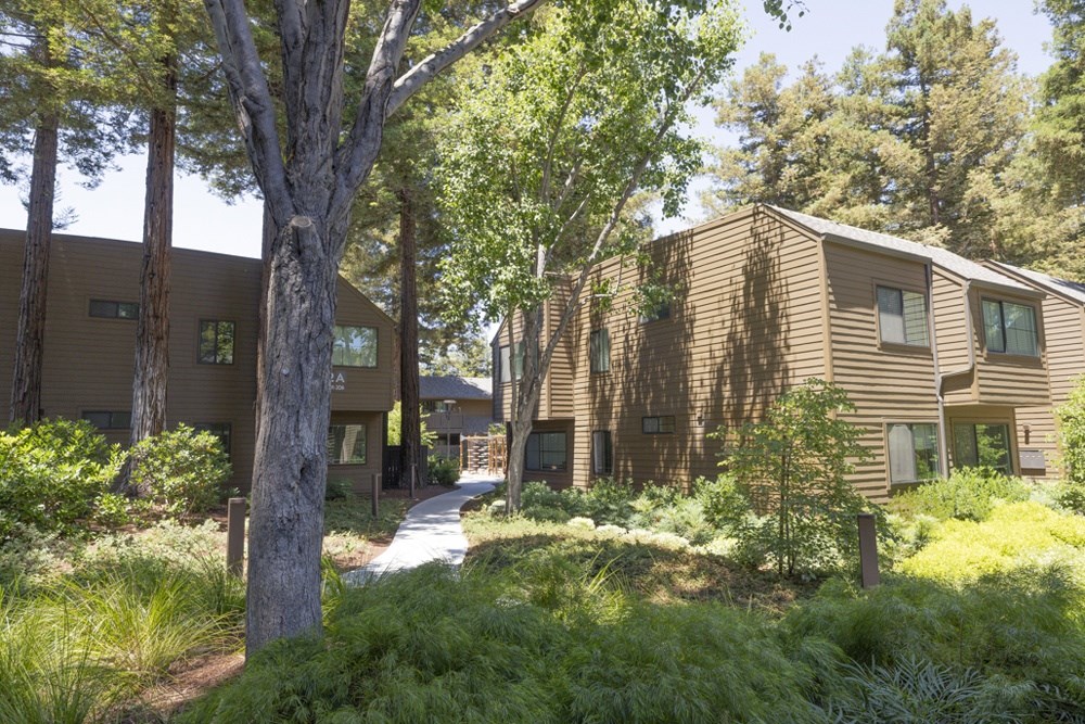 A pathway in a garden leads to a building.