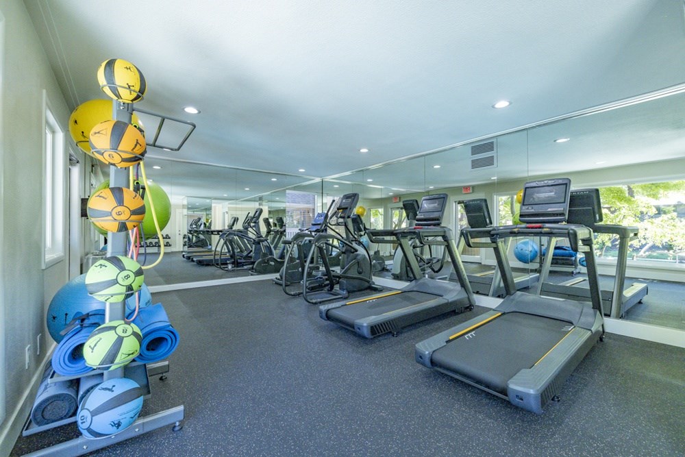 A gym with treadmills, exercise balls, and weights.