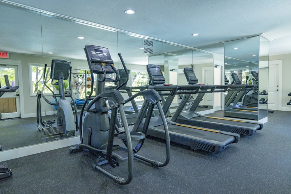 A gym with treadmills and elliptical machines.