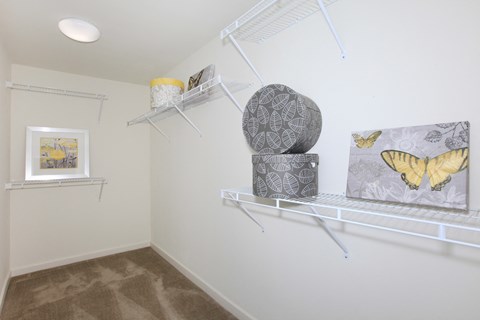 a closet with two shelves and a butterfly artwork on the wall