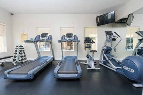 a row of treadmills and elliptical trainers in a gym