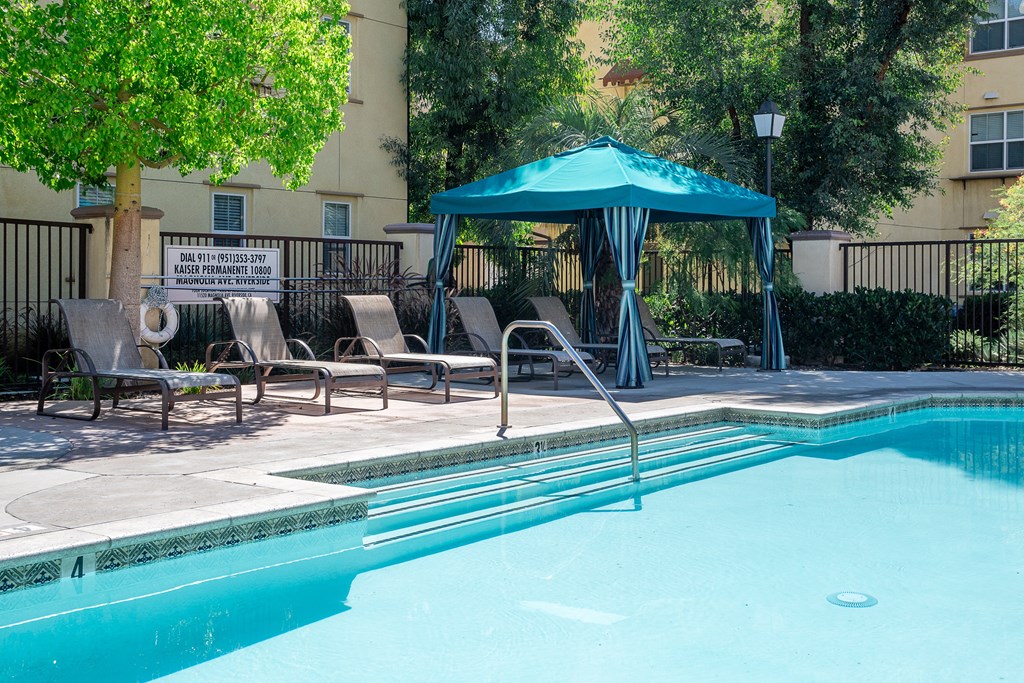 our apartments showcase an unique swimming pool