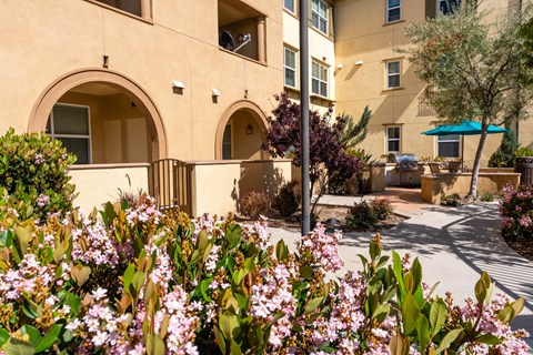 Walkway with flowers at Paseos at Magnolia