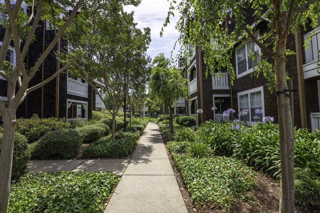 a tree lined sidewalk in front of a row of apartment buildings