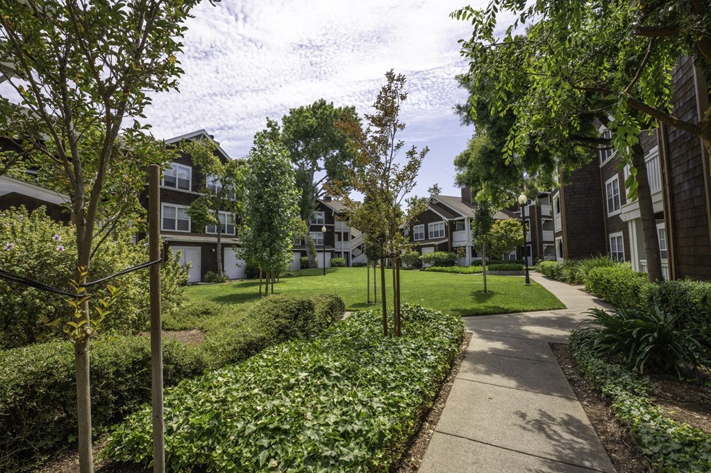 a park with trees and grass in front of apartment buildings