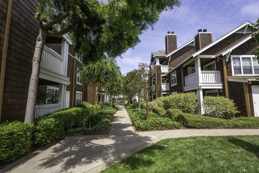 a tree lined sidewalk between two apartment buildings