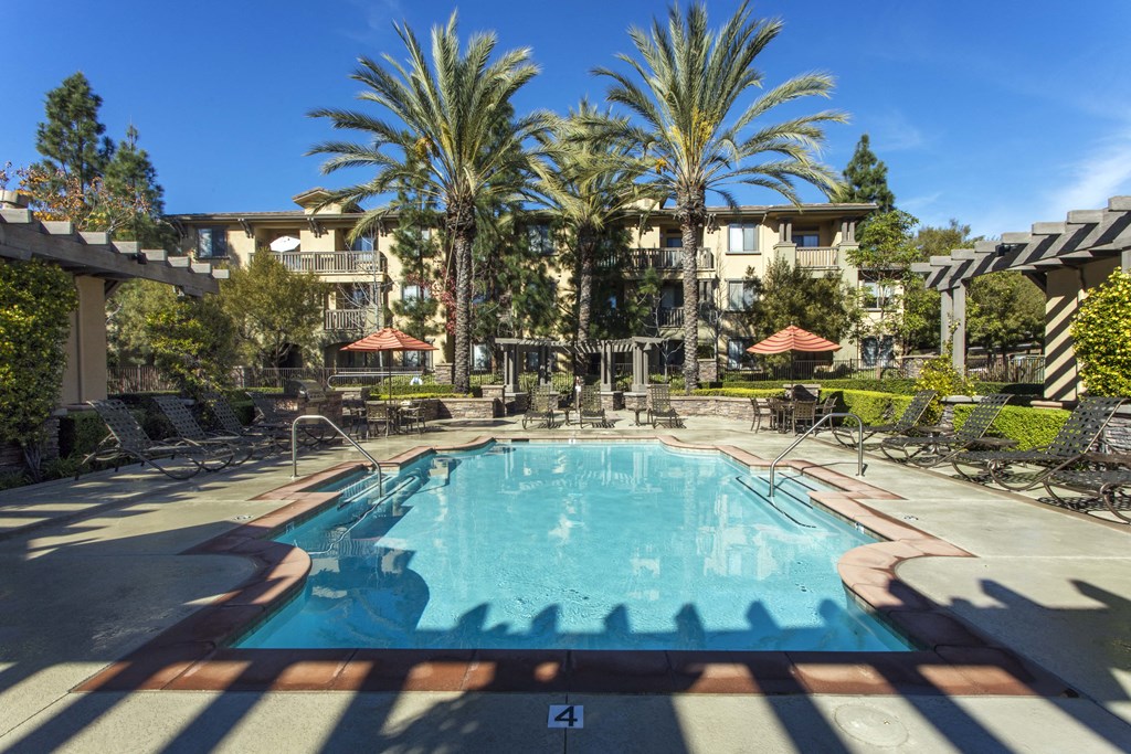 a resort style pool with chaise lounge chairs and palm trees in the background at 55+ Remington at Ladera Ranch, Ladera Ranch