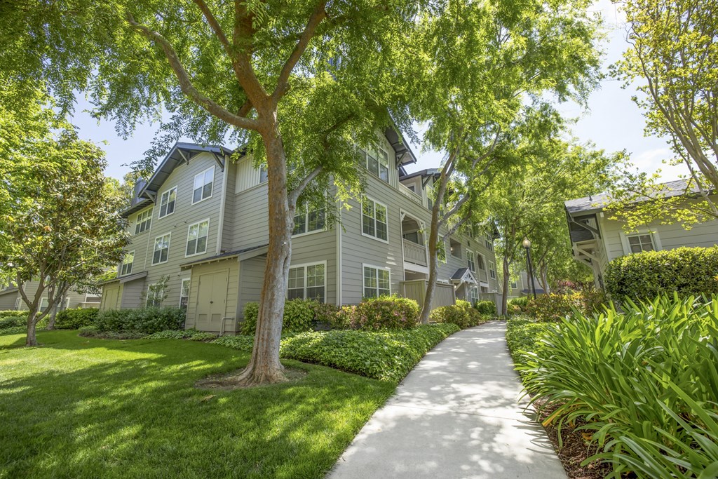 take a stroll through the manicured grounds at the whispering winds apartments in pearland, tx