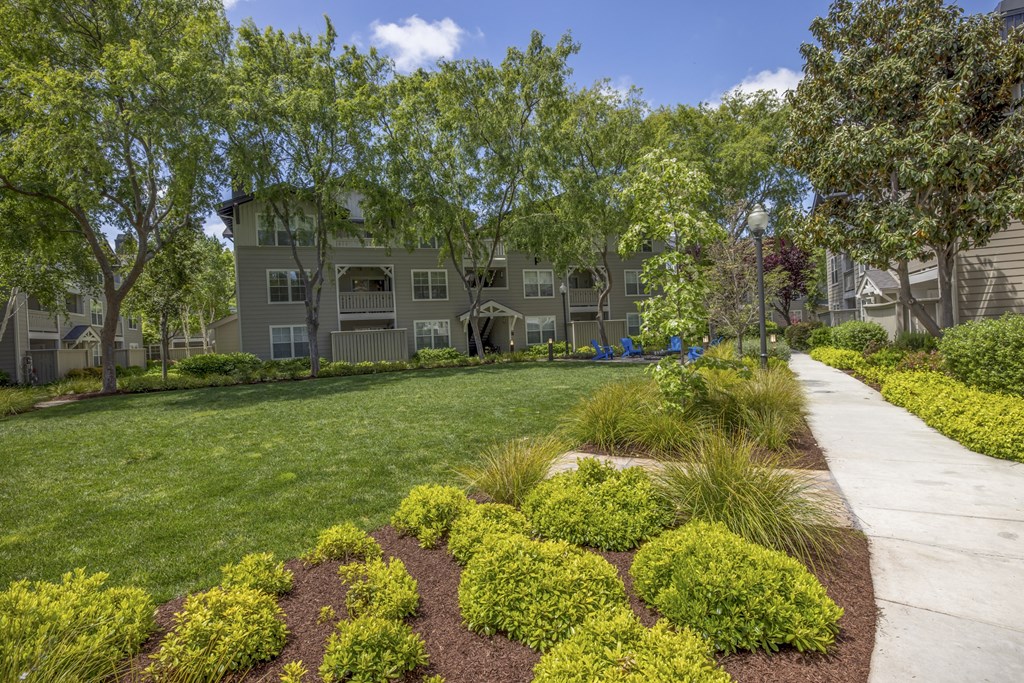 take a stroll through the manicured grounds at the whispering winds apartments in pearland, tx