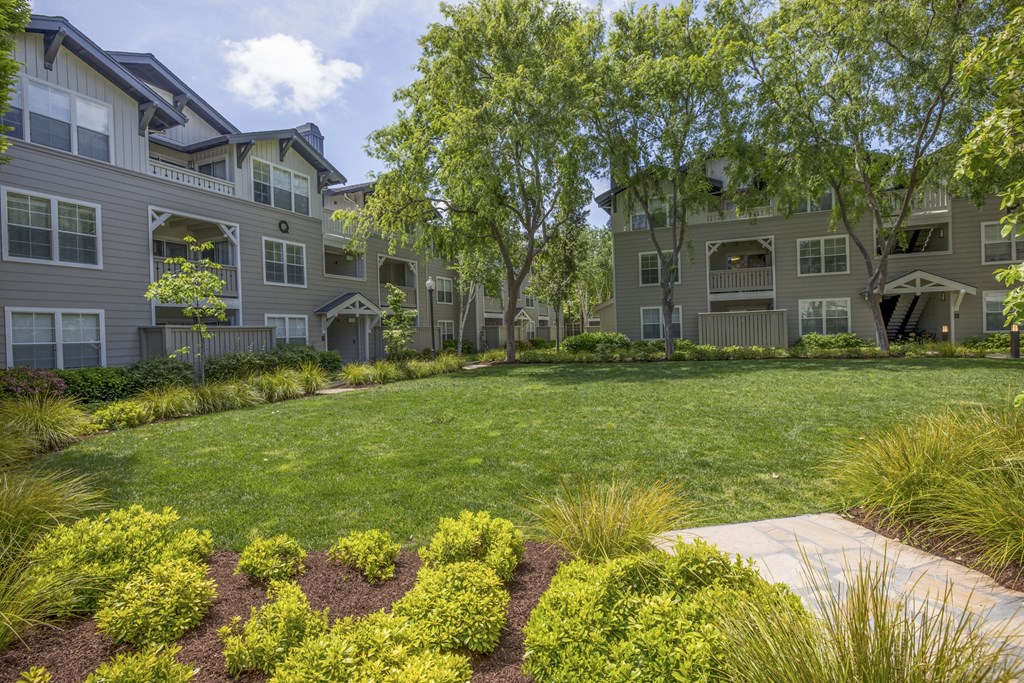 a grassy area with trees and a walkway in front of an apartment building