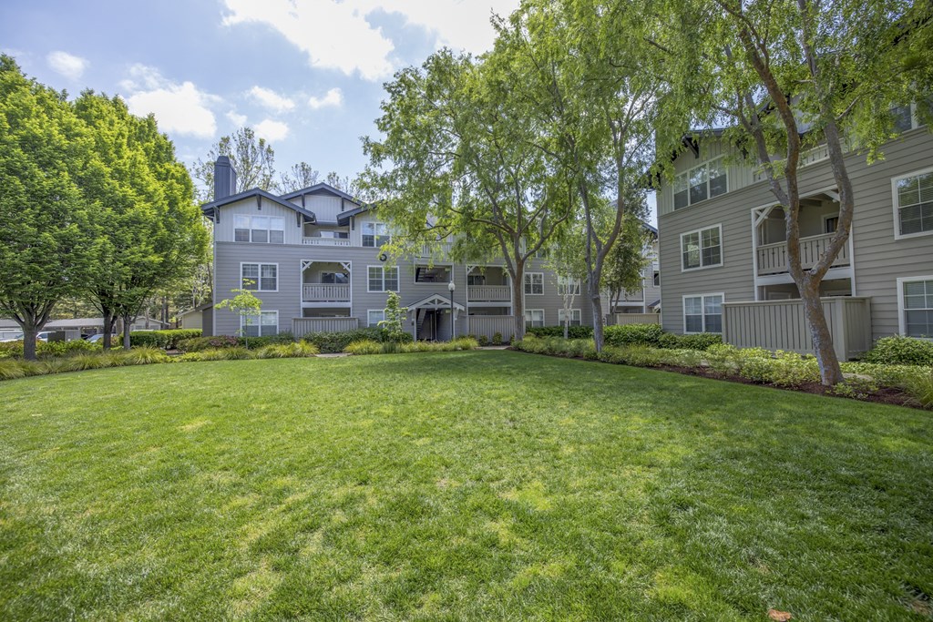 a large grassy area with trees and buildings in the background