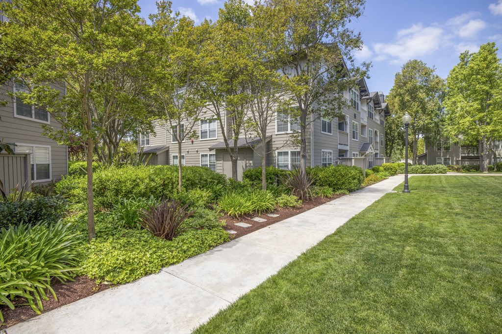 take a stroll down the sidewalk at the whispering winds apartments in pearland, tx