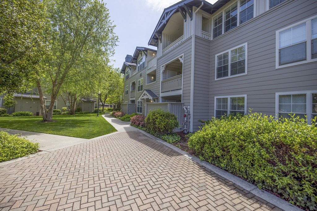 our apartments offer a clubhouse