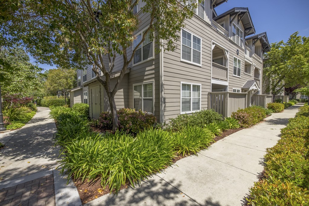 take a stroll down the sidewalk at the whispering winds apartments in pearland, tx