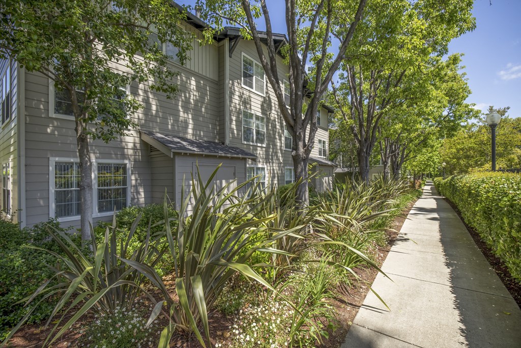 a sidewalk lined with plants and trees in front of a building