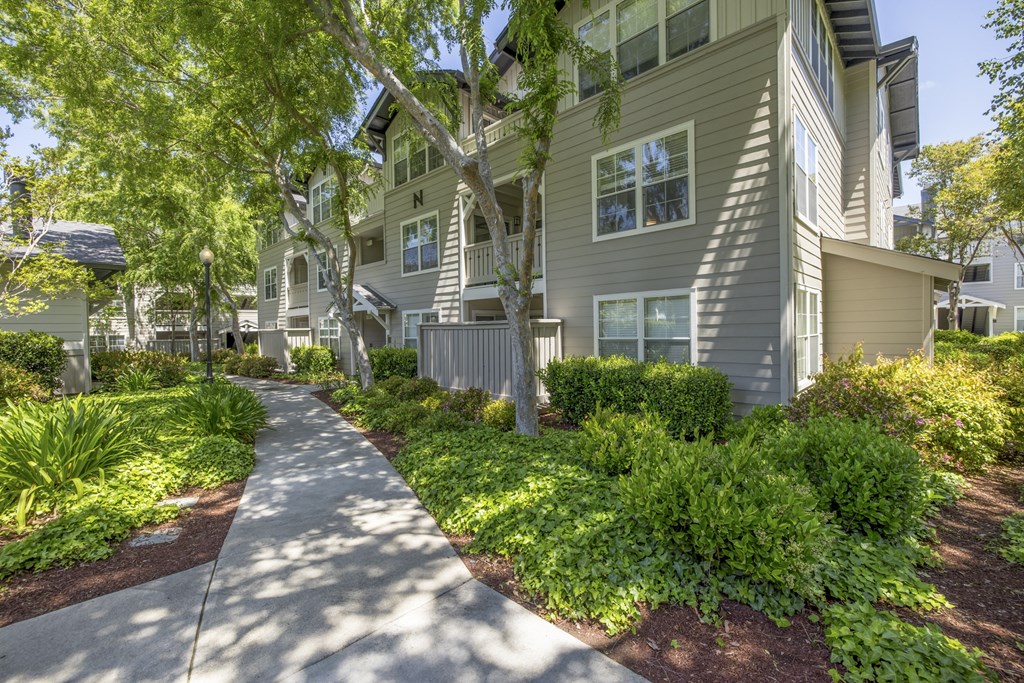 our apartments offer a community of homes for rent