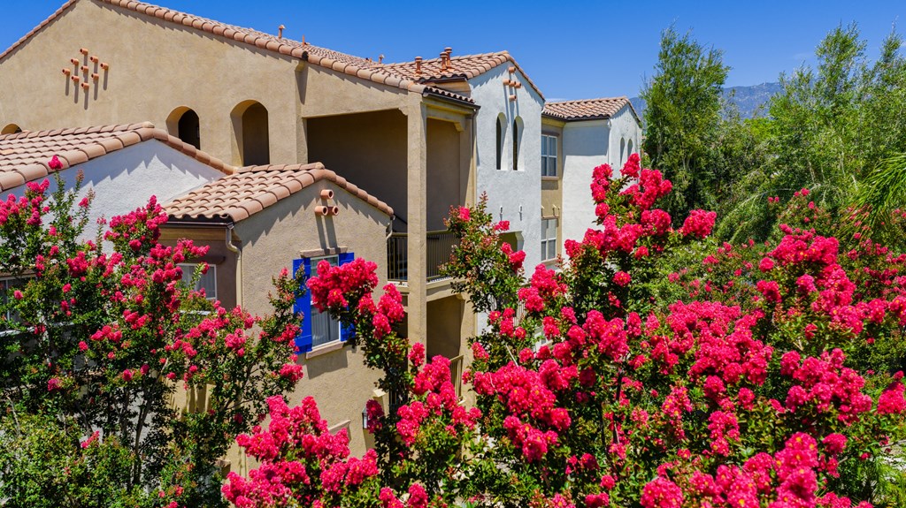 Rancho Monte Vista Apartments