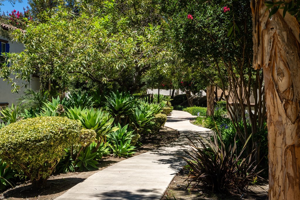 Rancho Monte Vista Apartments