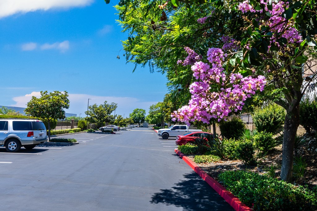 Rancho Monte Vista Apartments