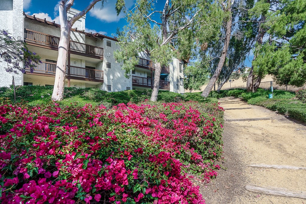 Pathway to apartments with flowers at Ridgecrest, California