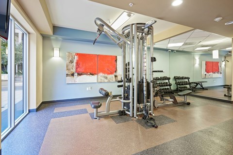 A gym with a variety of equipment including a treadmill, weights, and a bench.at 6940 Sepulveda, Van Nuys, CA  