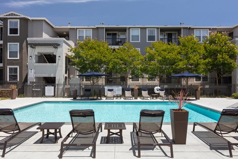 Outdoor Pool with Lounge Chairs at Montrachet Apartments, California