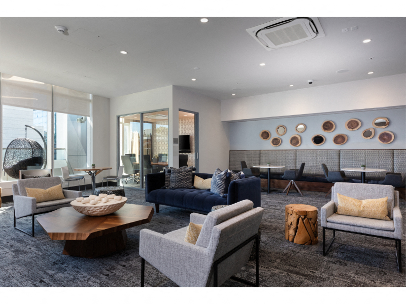 resident clubhouse with lounge seating