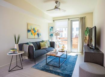 Large Living Area at The Union Flats, Union City, CA, 94587