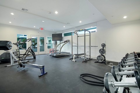 A gym with a variety of equipment including treadmills, weights, and exercise machines.at Grand View Towers, Los Angeles, CA  