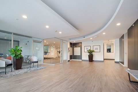 A spacious office lobby with a bench, plant, and glass doors.