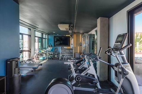A gym with treadmills and exercise equipment.