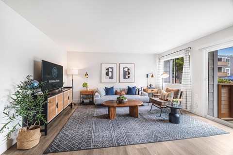 A living room with a television, couches, and a rug.