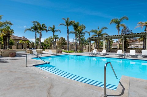 A swimming pool surrounded by palm trees and lounge chairs.