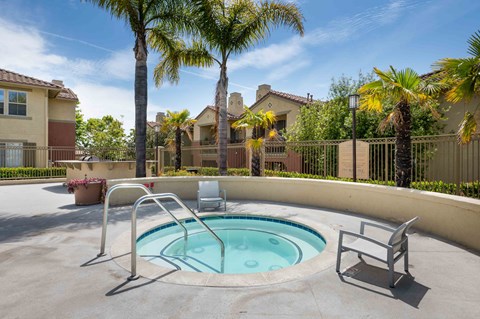 A pool surrounded by palm trees and a fence.