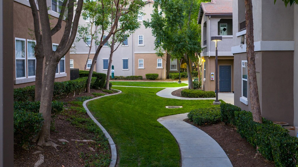 A pathway with a white line runs through a grassy area between two buildings.